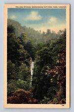 Shenandoah National Park, Falling Springs, Antique, Vintage Souvenir Postcard picture