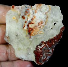 127 CT 5X53X62 mm NATURAL MEXICO CRAZY LACE AGATE ROUGH SLAB GEMSTONE RGB-67 picture