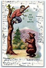 Roswell NM Postcard Man On Top Of Tree Chasing Bear Embossed c1905 Antique picture