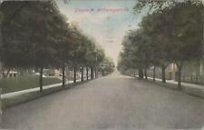 Postcard Elmira St Williamsport PA 1908 picture