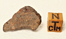 NWA 4438 meteorite. L3.1  6.19 grams. End cut. Nice chondrules picture