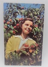 Vintage Postcard Beautiful Woman Lovely Peach Tree St Joseph Marcellus Michigan picture
