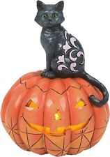 Black Cat Sitting Jack O Lantern Lit LED 6014354 Jim Shore Halloween pumpkin picture