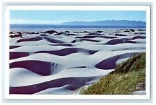 c1960's Sand Dunes Near Pismo Beach California CA Unposted Vintage Postcard picture