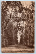 Warwick England Postcard Guy's Cliff The Avenue c1910 Unposted Antique picture