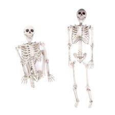5.6ft Halloween Skeleton Human Skull Full Life Size Holiday Tricky Haunted Props picture