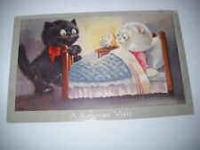 CAT SURPRISED IN BED antique unused postcard CHROMOLITHOGRAPH picture