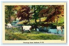 1911 Greetings from Amherst, Hillsborough County, New Hampshire NH Postcard picture