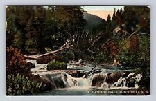 Black Hills SD- South Dakota, Cascade Falls, Antique, Vintage Souvenir Postcard picture