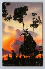 FL-Florida, Sunset through Trees, Antique Vintage Souvenir Postcard picture