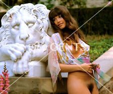 1960s Photo Print Big Breasts Brunette Playboy Playmate Barbi Benton BB20 picture