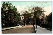 c1910 Allen Street Hudson Road Trees New York Vintage Antique Souvenir Postcard picture