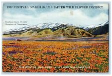 c1937 Shafter Wild Flower District Bear Mountain Arvin California CA Postcard picture