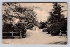 Aiken SC-South Carolina, The Park, Antique, Vintage c1905 Postcard picture