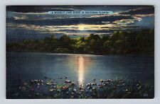 FL-Florida, Moonlit Lake Scene, Antique, Vintage c1955 Souvenir Postcard picture