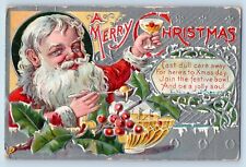 Bird Island Minnesota MN Postcard Christmas Santa Claus Berries Embossed 1908 picture