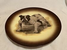 Vintage Bulldog Plate - Champion Katerfelto - Warwick (656) picture