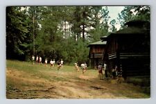 Birmingham AL-Alabama, Chico Camp, Camp Winnataska Vintage Souvenir Postcard picture