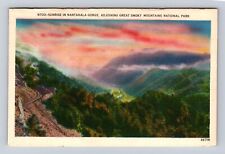 Smoky Mt National Park, Nantahala Gorge, Series #N703, Vintage c1962 Postcard picture
