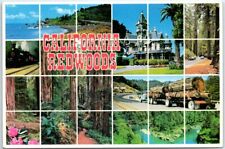 Postcard - California Redwoods - California picture
