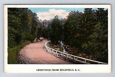 Edgefield SC-South Carolina, General Greetings, Scenic Road, Vintage Postcard picture