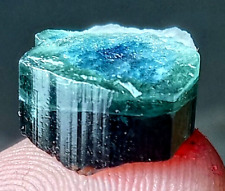 11 Carat Amazing Multi Colour Tourmaline Crystal Specimen @ Afghanistan picture