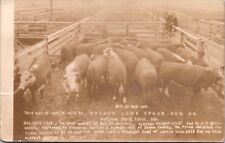 RPPC 1909 Cattle Sold by Bright Live Stock Yard Co National Stock Yards Illinois picture