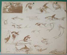 Disney's Peculiar Penguins RARE Model Sheet Silly Symphony 1934 B picture