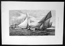1892 Australasia Illustrated Antique Print View A Yacht race in Sydney Harbour picture