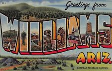 1949 Williams Arizona AZ Greetings From W-1 Large Letter Postcard picture