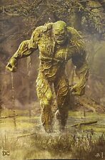 Swamp Thing #1 Bjorn Barends Virgin Variant NYCC 2023 Limited 1100 FREE SHIP picture