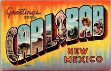 Carlsbad New Mexico Greetings from Carlsbad Large Letter Multi View Postcard VTG picture
