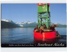 Postcard Stellar sea lions bask on a buoy, Southeast Alaska picture
