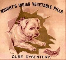 1880's WRIGHT'S INDIAN PILLS CURE DYSENTERY DOG PUPPY CHASES BIRD TRADE CARD picture
