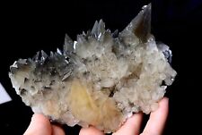 584g Natural Perfect Dipyramidal Yellow Calcite CLUSTER Mineral Specimen/China picture