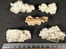 Big Lot of larger 100% Natural FULGURITE s or Petrified Lightning 22.0gr picture
