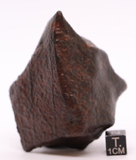 Meteorite NWA Chondrite Meteorite 174 grams picture