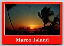 Marco Island Vintage Posted Florida Postcard picture