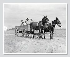 1930s Black Family in Mule-Drawn Wagon, Vintage Photo Reprint picture