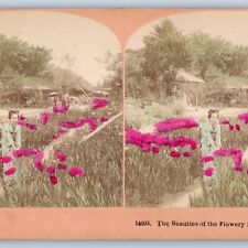 1901 Japan Beauties of Flowery Kingdom Stereoview Hand Colored Photo Geisha V29 picture