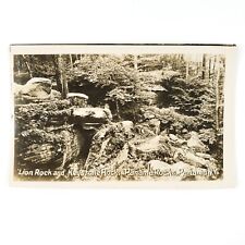 Panama Rocks New York RPPC Postcard 1920s Chautauqua County Lion Keystone B2039 picture
