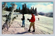 Olympic National Park WA-Washington, Winter at Hurricane Ridge, Vintage Postcard picture