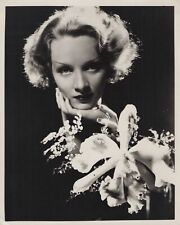 HOLLYWOOD BEAUTY MARLENE DIETRICH STYLISH POSE STUNNING PORTRAIT 1940s Photo C33 picture