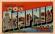 vintage 1952 Curt Teich  Co Inc Memphis Tennessee Southern Belle hat Postcard picture