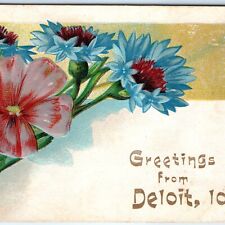 RARE c1910s Deloit, IA Greetings from Embossed Flower Unique Type Norwegian A147 picture