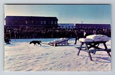 Haines Junction-Yukon, Dog Pull Sled Contest, Antique, Vintage Souvenir Postcard picture