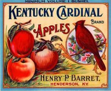 Cardinal Brand Apple Henderson Kentucky Fruit Crate Bird Label Vintage Art Print picture