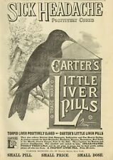 CARTER'S LITTLE LIVER PILLS POSITIVELY CURES SICK HEADACHES DYSPEPSIA NAUSEA picture