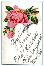 1910 Greetings From Edd Kaeder Finlayson Minnesota Roses Glitter Flower Postcard picture