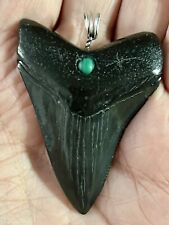 Natural Shark Tooth Fossil Megalodon Pendant picture